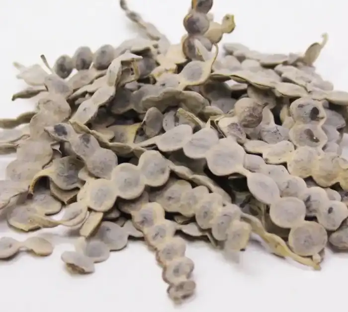 Acacia Arabica Pods (Kikar Phali) پھلی ببول/پھلی کیکر