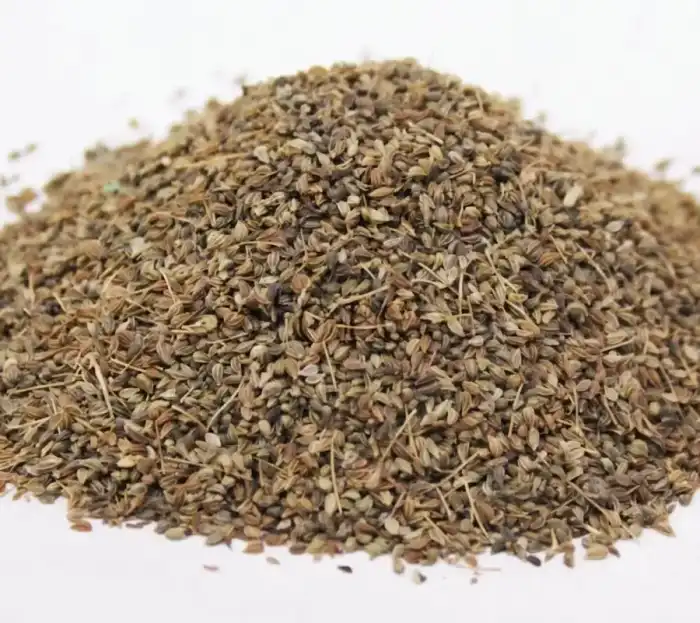 Anise Seeds (Aniseed/Anesoon) تخم انیسوں