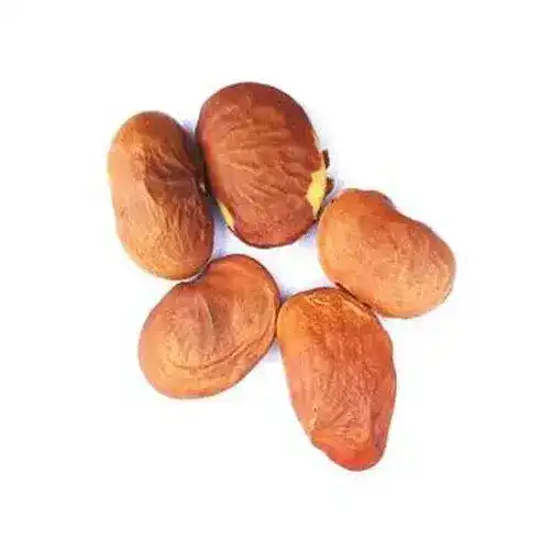 Butea (Palas Pappra) پلاس پاپڑہ