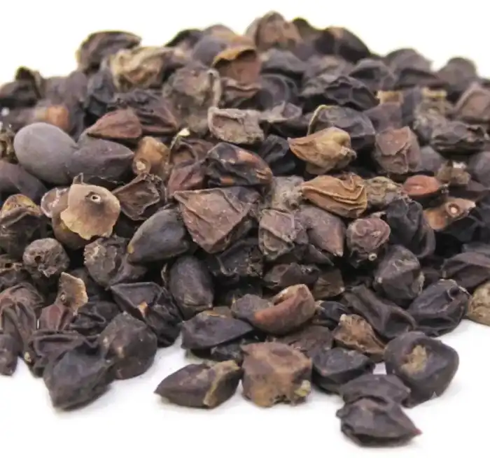 Bitter Gourd Seeds (Tukhm e Karela) تخم کریلہ