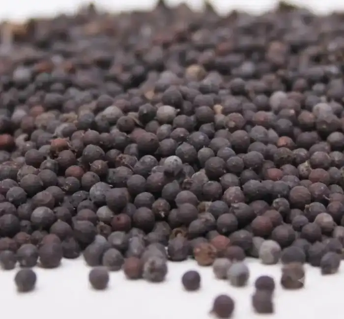 Juniper Berries (Abhal/Hao Bair) ہاو بیر/ابہل