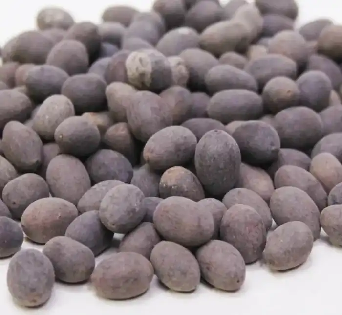 Lotus Seeds (Kol Dode) کول ڈوڈے