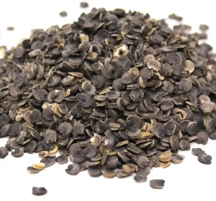 Marshmallow (Khatmi/Althaea Officinalis) خطمی