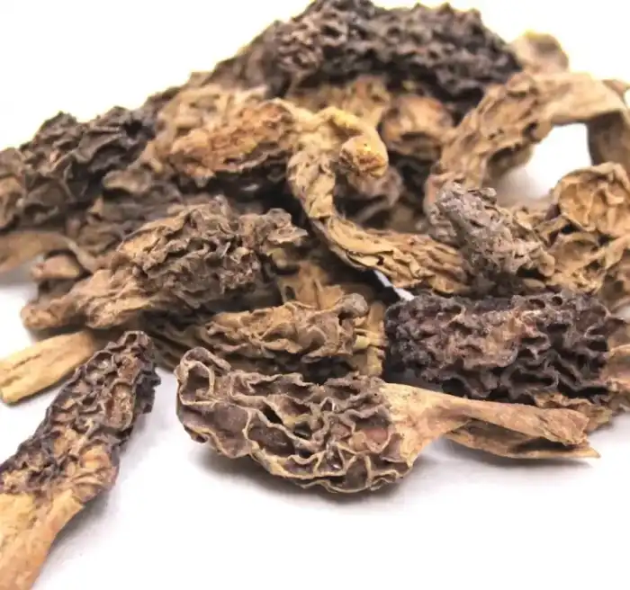 Morel Mushroom (Guchi Mushroom) گوچی مشروم