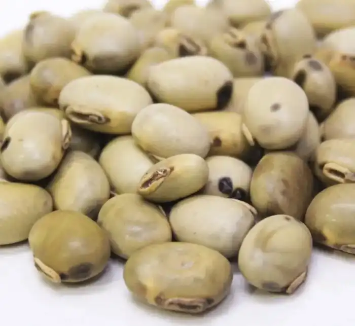 Mucuna Pruriens (Black Velvet Beans/Konch Siyah) کونچ سیاہ