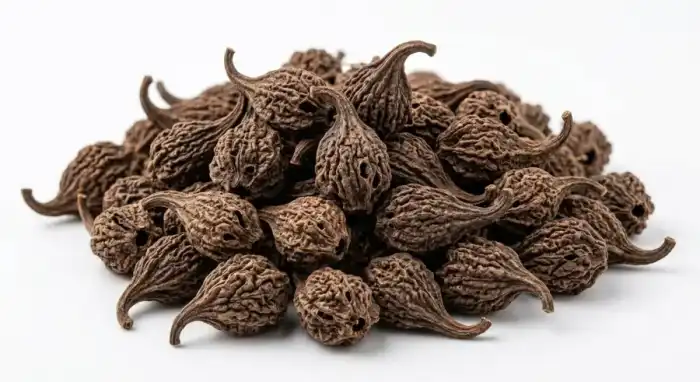 Martynia (Tiger’s Claw /Bichoo Phal)بچھو بوٹی