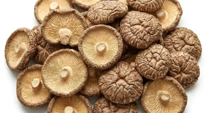 Shiitake Mushrooms (Lentinula edodes) (کھنبی (مشروم