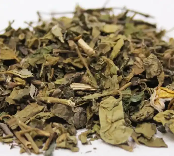 Gymnema Sylvestre (Gurmar Leaves) گڑ ماربوٹی