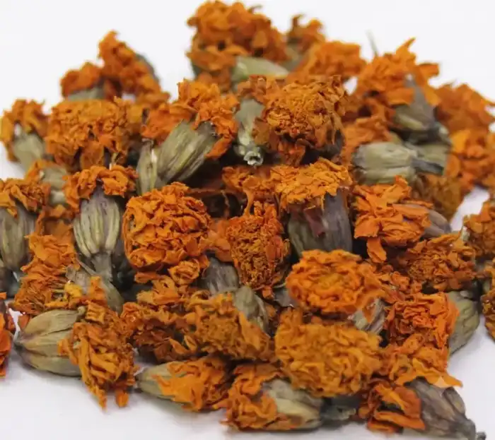 Gul e Babona / Chamomile Flower / گل بابونہ