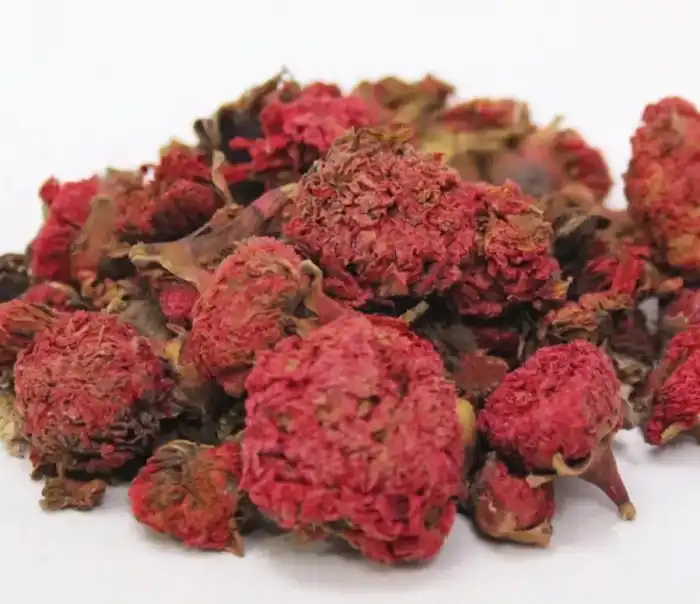 Pomegranate Flower (Gul e Anar) گل انار