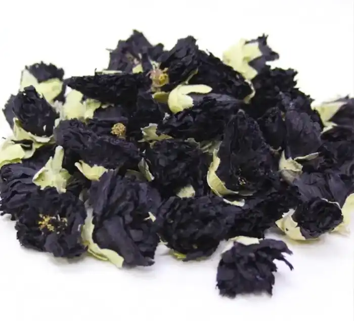 Hollyhock Flowers (Black Mallow/Malva)