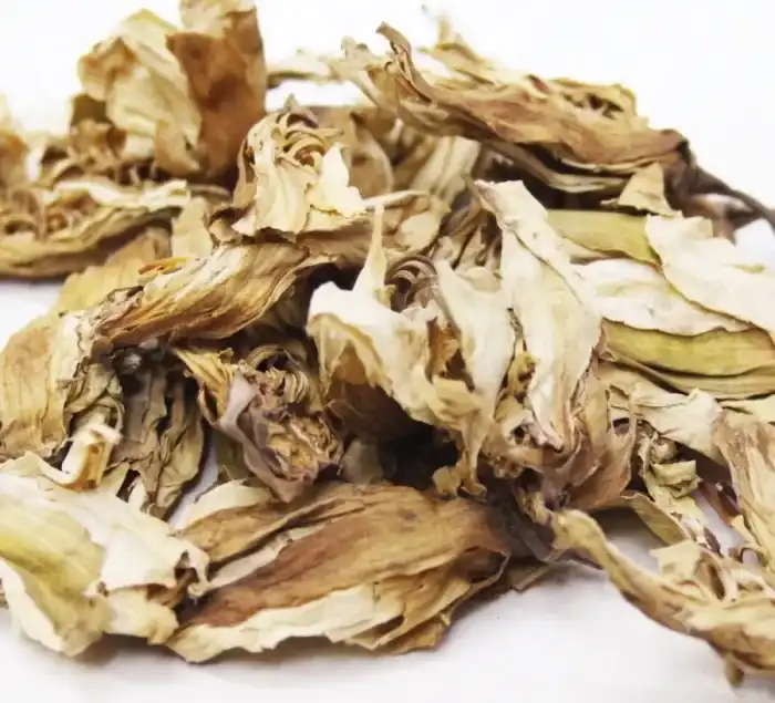 Gul e Gurhal / Hibiscus Flower / گل گڑہل