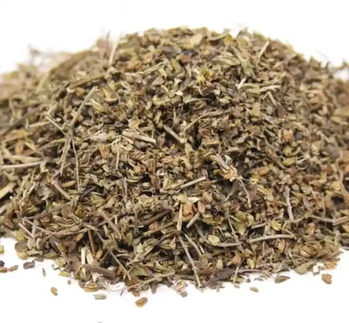 Catnip (Badranjboya/Nepeta Cataria) بادرنجبویہ