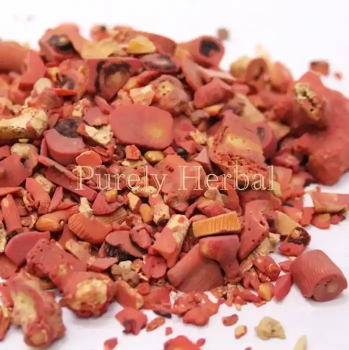 Coral China (Shakh Marjaan) شاخ مرجان
