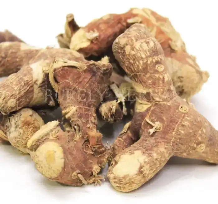 Galangal (Jarpan/Panjarh) جڑپان/خولنجاں