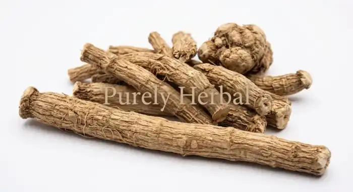 Indian Costus Root (Kuth Talkh) قسط تلخ