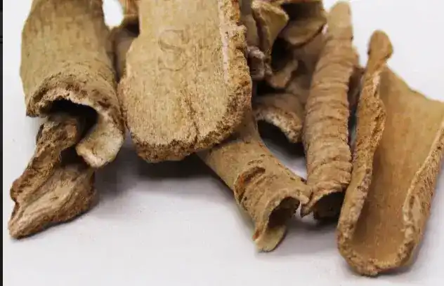 Piplamol / Long Pepper Root