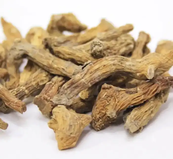 Parsnip (Shakakal Misri)ثقاقل مصری