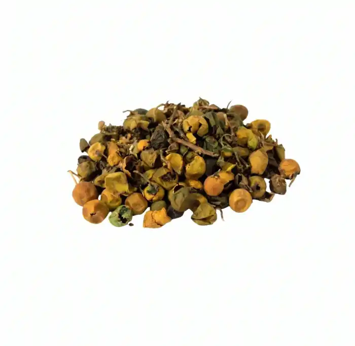 Wild Egg Plant (Bhat Katiya)