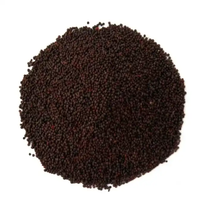 Turnip Seeds (Tukhm-e-Shaljam)