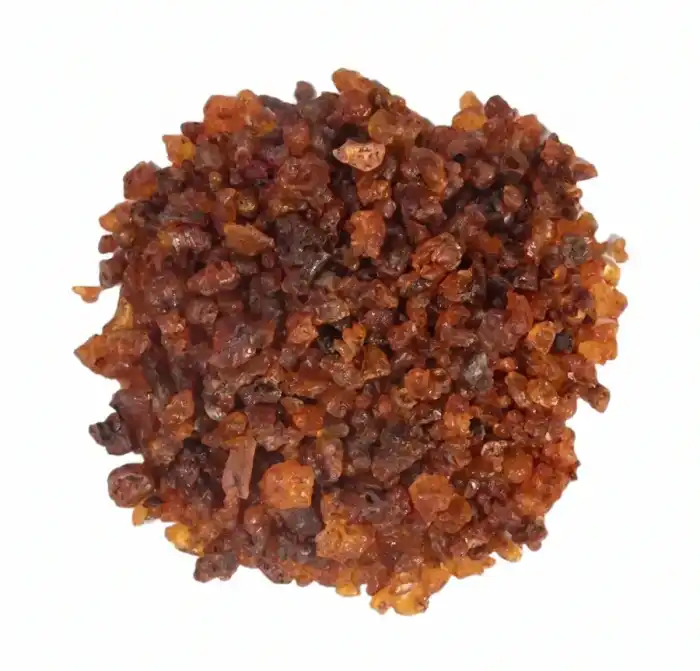 Tachardia Lacca || Lakh Dana Herb || pipal lakh