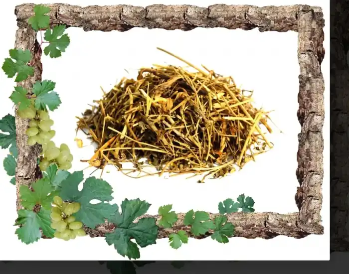 Spleenwort (Chitrak)