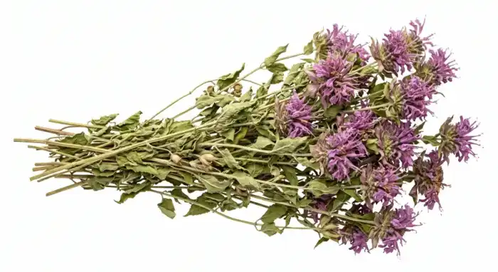 Spearmint Flowers dry | پہاڑی پودینہ کے پھول