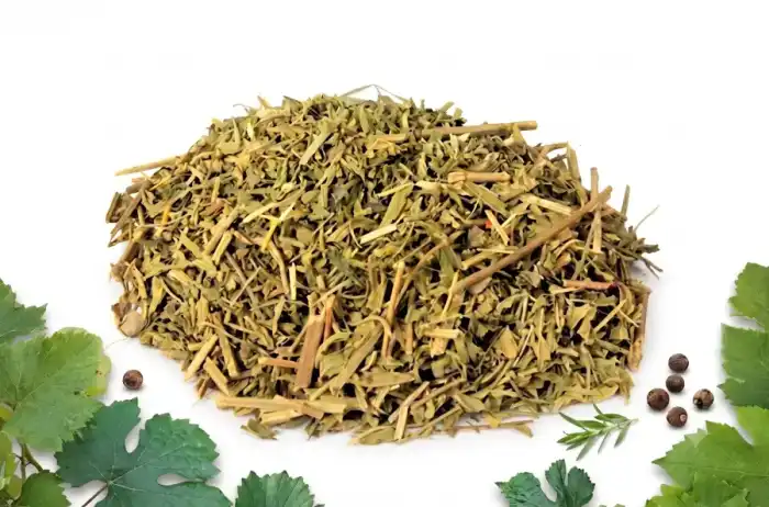 Spearmint (Podina Kohi, Pahari Podina)