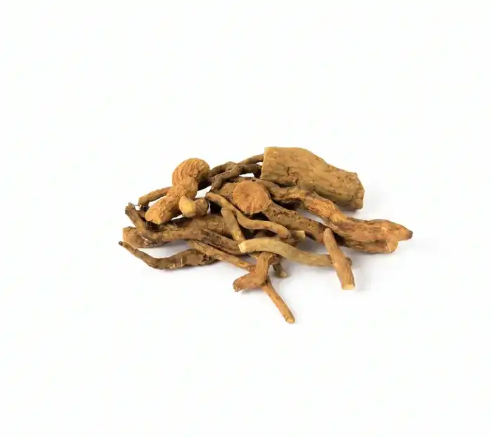 Snake Root (Asrol)