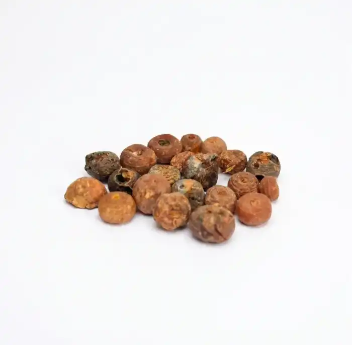 Smearwort (Zaravand Mudharij)