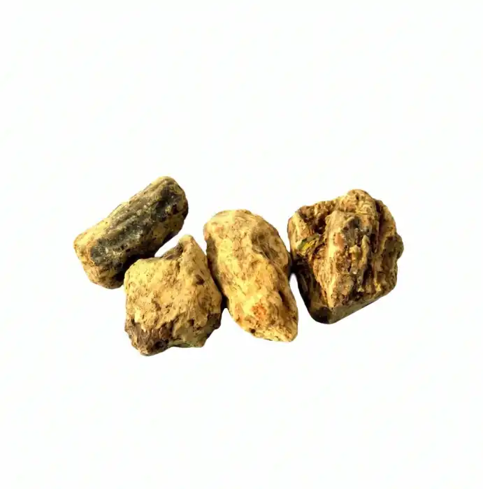 Sal Tree (Ral Safaid)