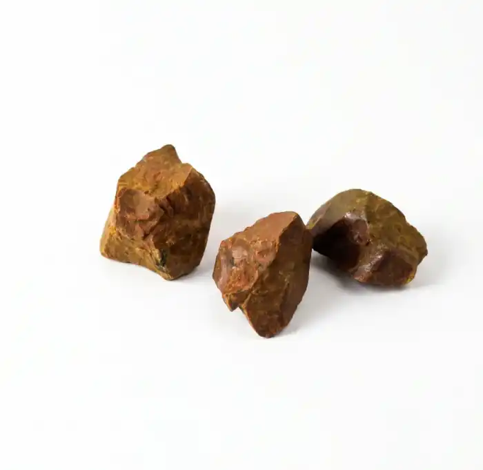 Rhubarb (Asarah Rewand)