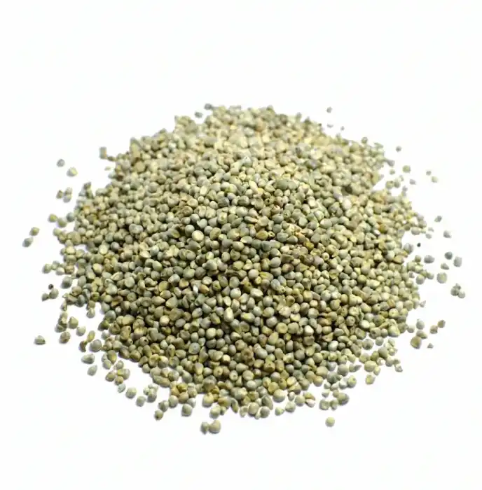 Pearl Millet seeds Cenchrus americanus