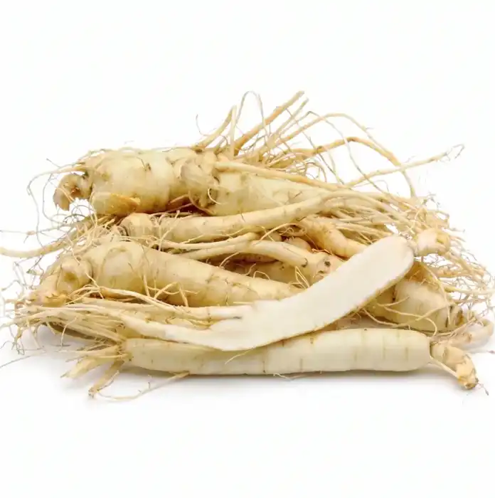 Organic white ginseng root , Panax ginseng root