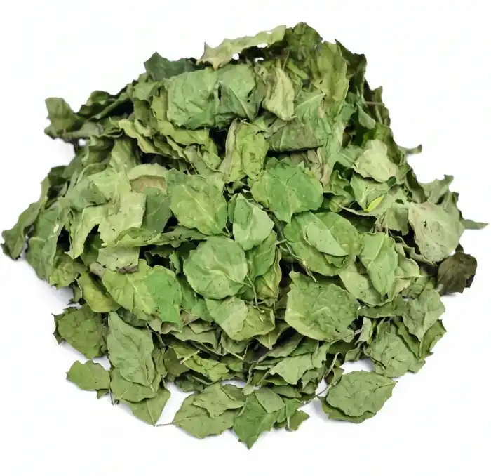 Moringa leaves Whole -Barg Suhanjana – Moringa oleifera 100% Pure