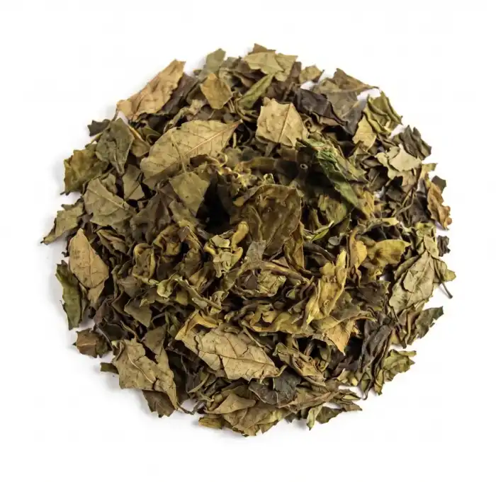 Gurmar Booti Booti Synsepalum dulcificum 100% Pure