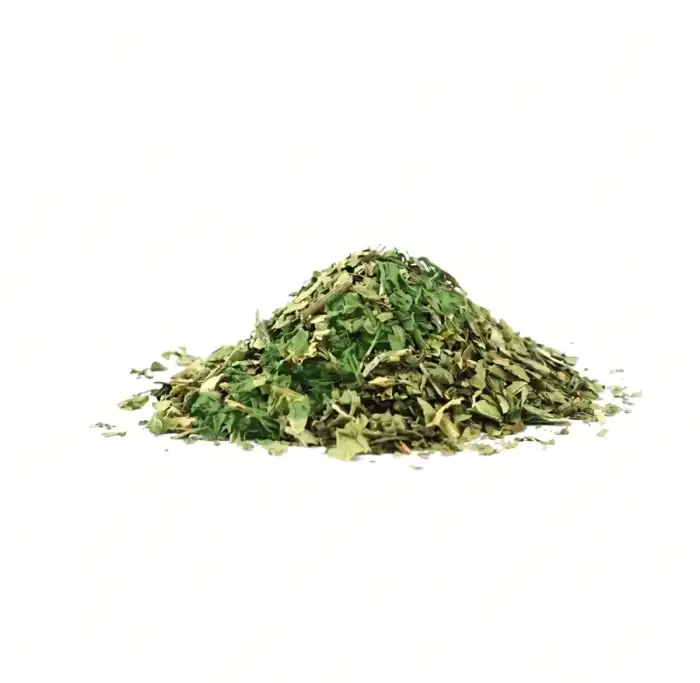 Mint Podena Podina Mentha spicata 100% Pure