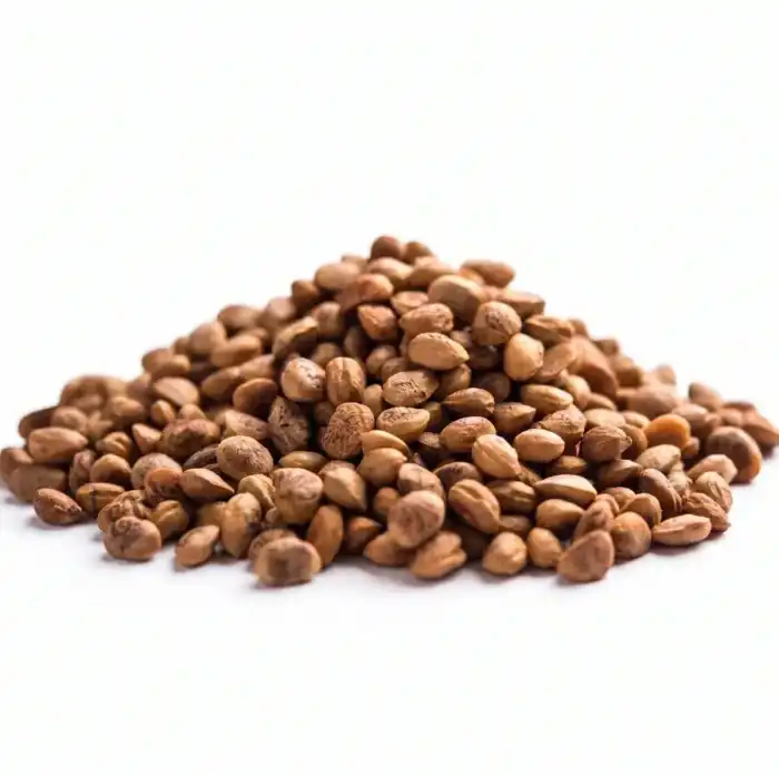 Magaz Chironji Seeds (Buchanania Lanzan without shell)