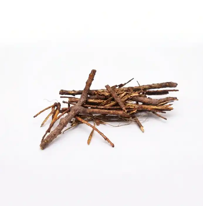 Many Spiked Flacorita (Zarnab) Flacourtia jangomas 100% Pure
