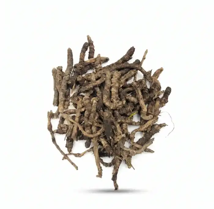 Kutki – Kor Kor india – Picrorhiza kurroa 100% Pure.