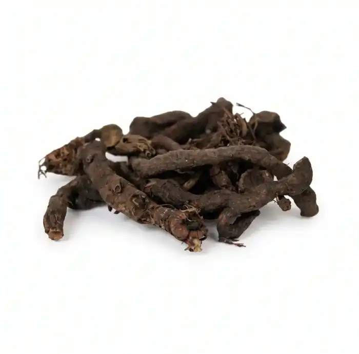 Knotgrass || Anjbar || Polygonum aviculare 100% Pure