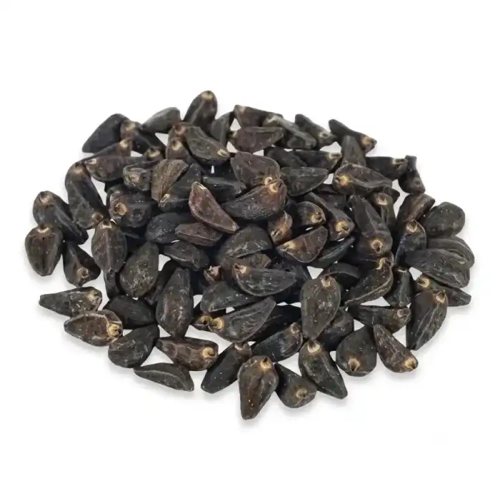 Japanese Morning Glory Seeds || Tukhm-e-Neel || Ipomoea nil 100% Fresh