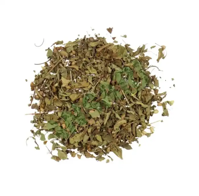 Holy Basil Leaf – Plant – Burge Tulsi – برگ تلسی
