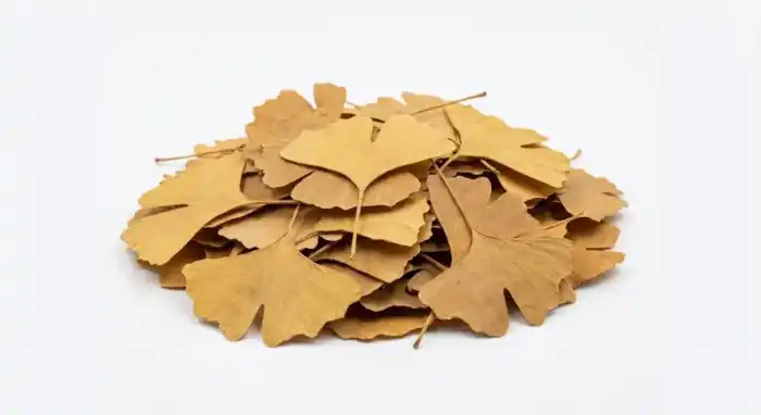 ginkgo biloba dry leaves| Premium Ginkgo Biloba Loose Leaf 100% from Nature