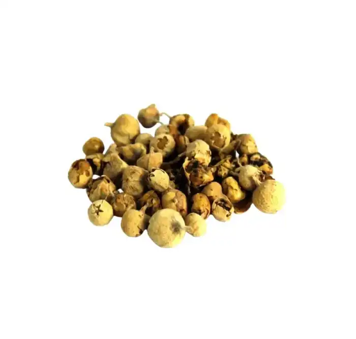 Dunal Seeds (Tukhm-e-Hayat) Withania coagulans Paneer Dodi Paneer Phool 100% Pure
