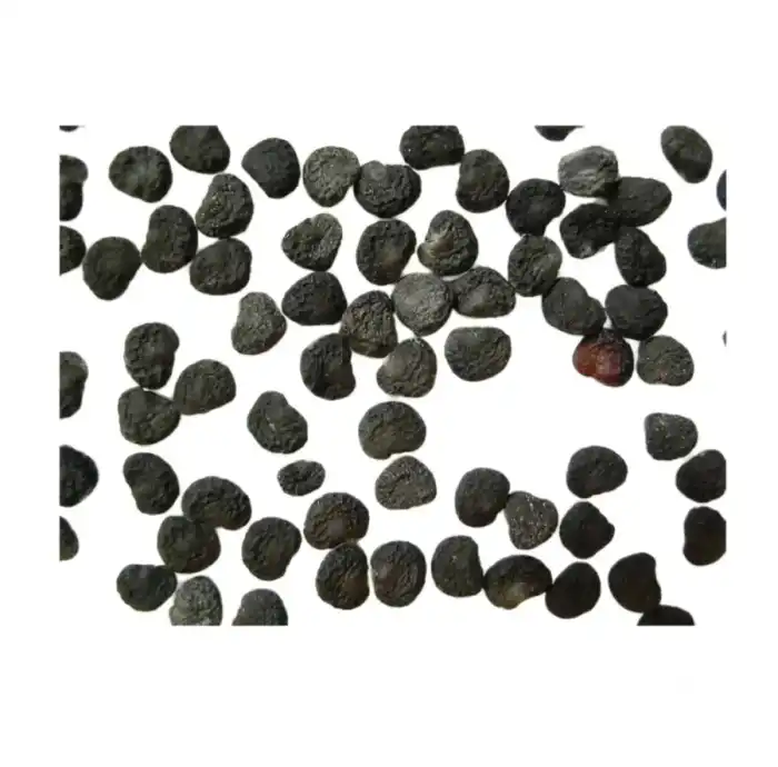 Datura Stramonium Seeds (Dhatura) دھتورا سیاہ