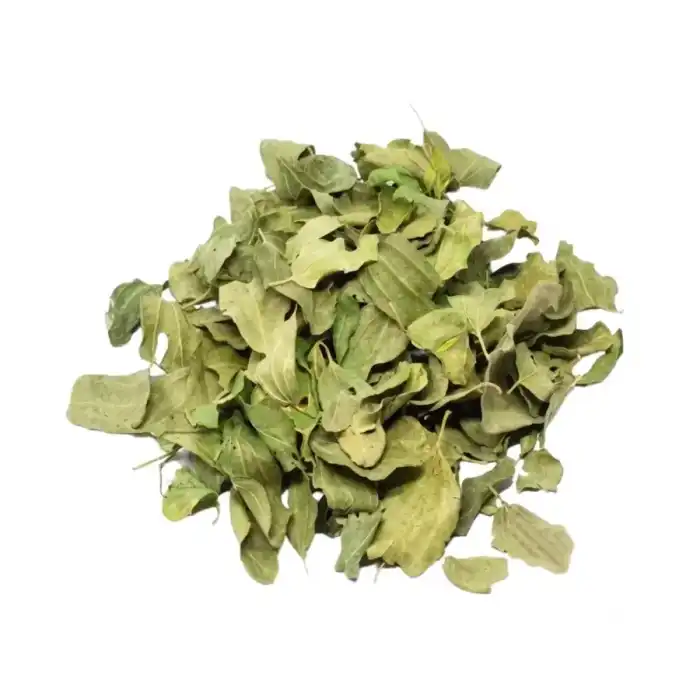 Jujube leaves Berry Leaves Berg e Berry Ziziphus jujuba 100% Pure